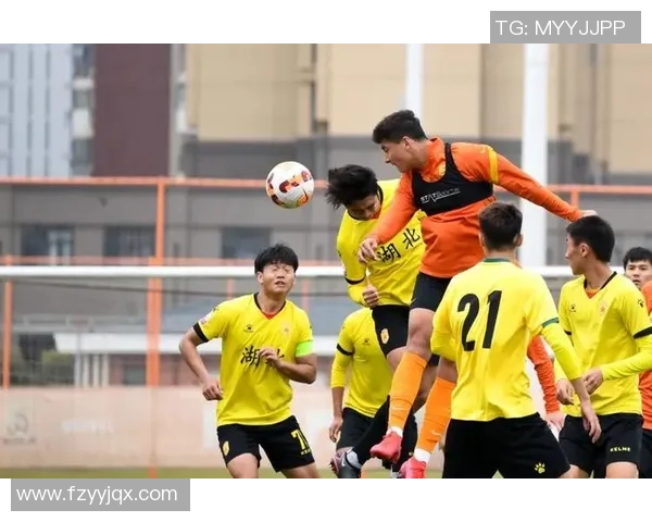 武汉足球队在锦标赛中的节奏表现分析与点评探讨